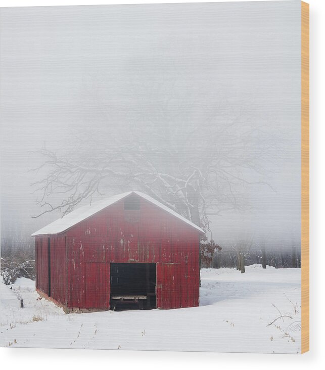 Tobacco Wood Print featuring the photograph Lifting fog above red tobacco shed sheltered by oak tree near Stoughton WI on Stebbinsville road by Peter Herman