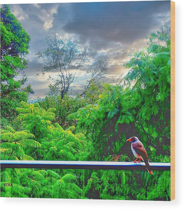 Forest Wood Print featuring the photograph My Tweet - Our View by VIVA Anderson