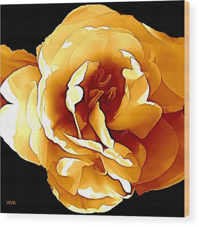 Rose Wood Print featuring the photograph Rose - Moderne - Photography by VIVA Anderson