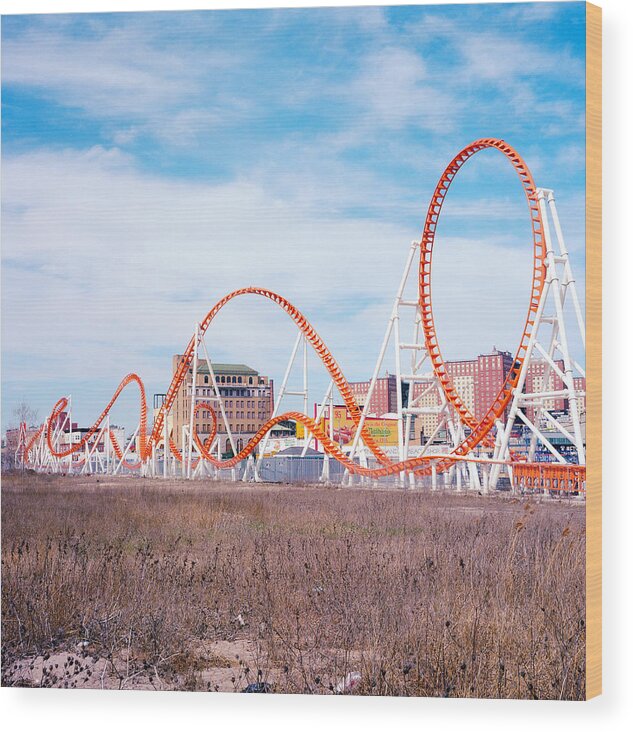 6x6 Wood Print featuring the photograph Snake Coney Island by Eugene Nikiforov