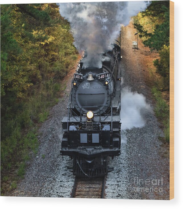 4014 Wood Print featuring the photograph Steam Locomotive UP 4014 #3 by Lawrence Burry