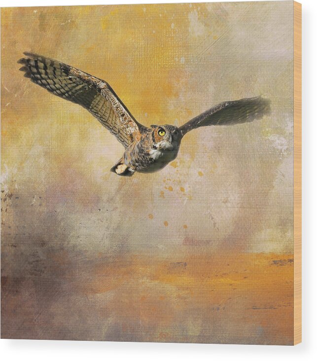 Owl Wood Print featuring the photograph Sunny Days Ahead by Jai Johnson
