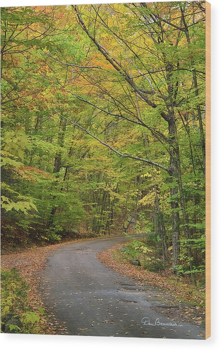 Foliage Wood Print featuring the photograph Country Road Albany NH 9102 by Dan Beauvais