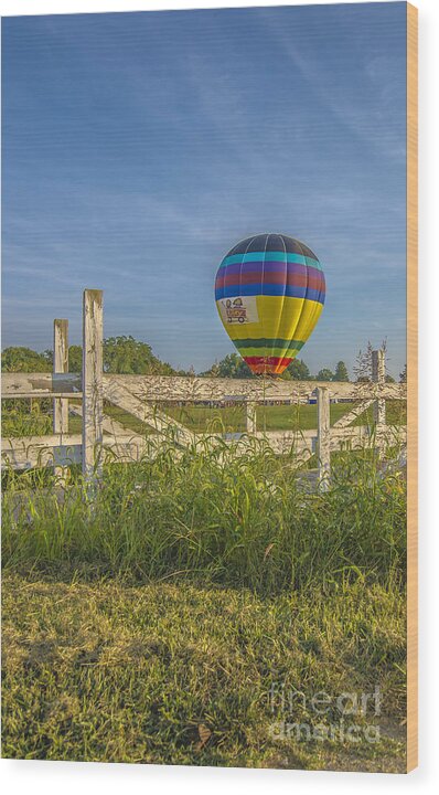 Hot Air Balloon Wood Print featuring the photograph Hot Air Balloon Riley 5 by David Haskett II