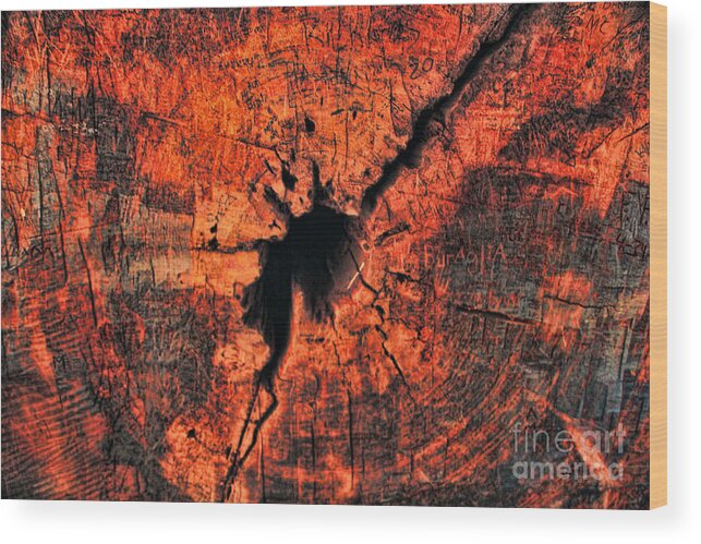  Redwood Wood Print featuring the photograph  Redwood by Joanne Coyle