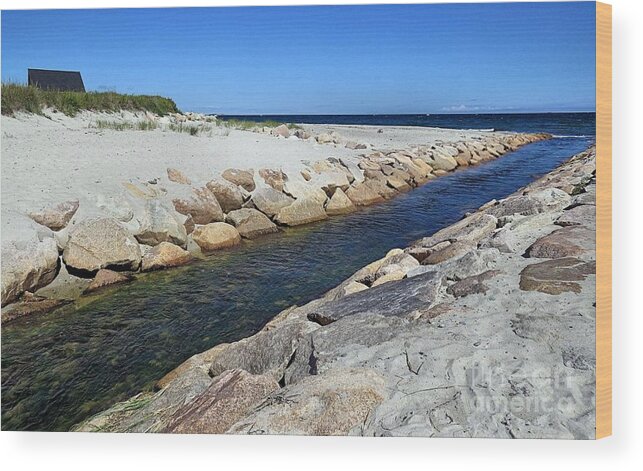 White Horse Beach Stream Wood Print featuring the photograph White Horse Beach Brook by Janice Drew