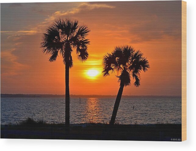 20120602 Wood Print featuring the photograph 0602 Pair of Palms at Sunrise by Jeff at JSJ Photography