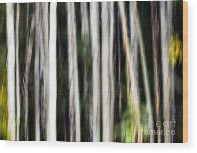 Abstract Wood Print featuring the photograph 0897 Aspen abstract by Steve Sturgill
