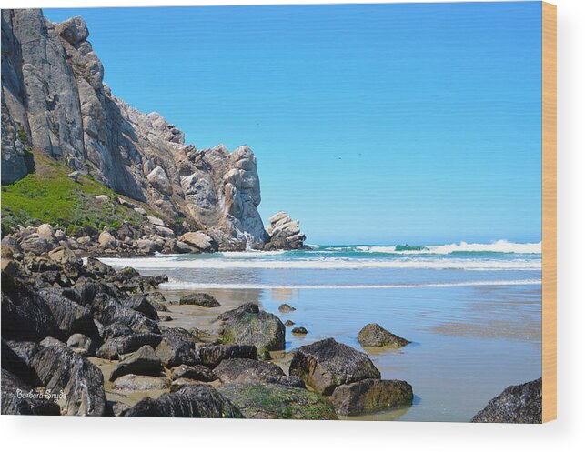 Barbara Snyder Wood Print featuring the photograph A Piece Of The Rock At Morro Bay 3 #1 by Barbara Snyder