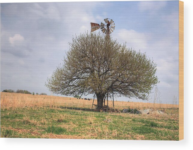 Kansas Wood Print featuring the photograph Americana #1 by JC Findley