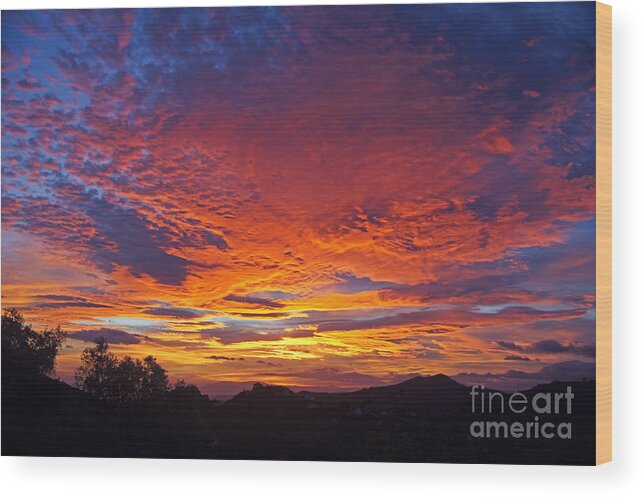 Spain Wood Print featuring the photograph Andalucia sunset #1 by Rod Jones