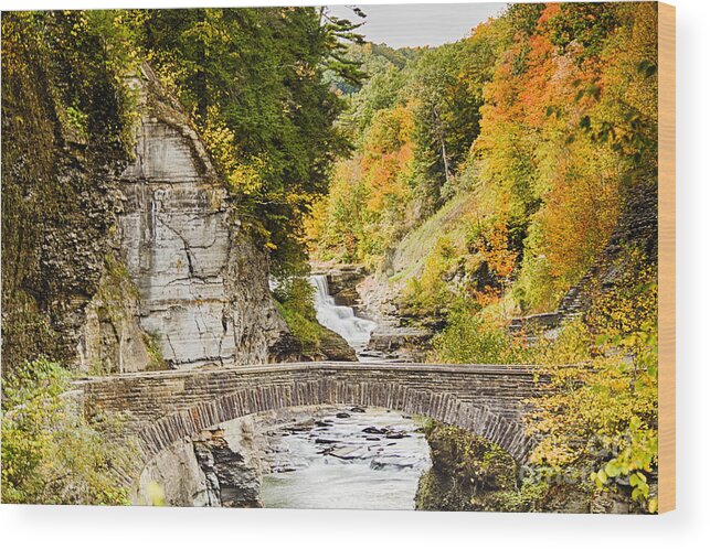Arched Bridge Wood Print featuring the photograph Arched Bridge #1 by Jim Lepard
