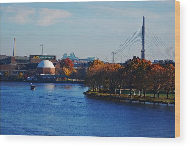 Boston Wood Print featuring the photograph Autumn in Boston #1 by Toby McGuire