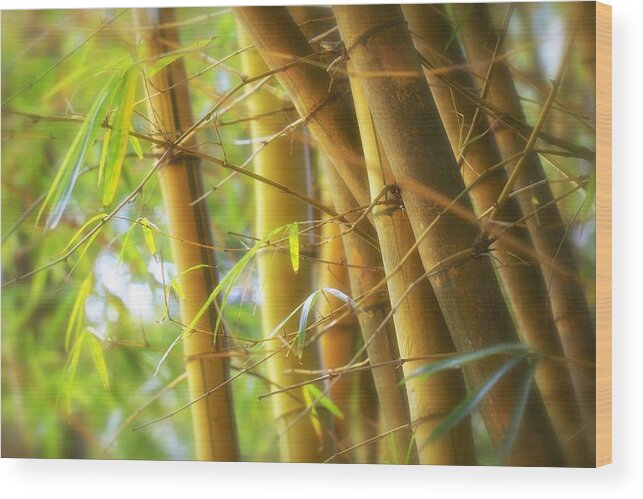 Floral Wood Print featuring the photograph Bamboo Gold #2 by Jade Moon 