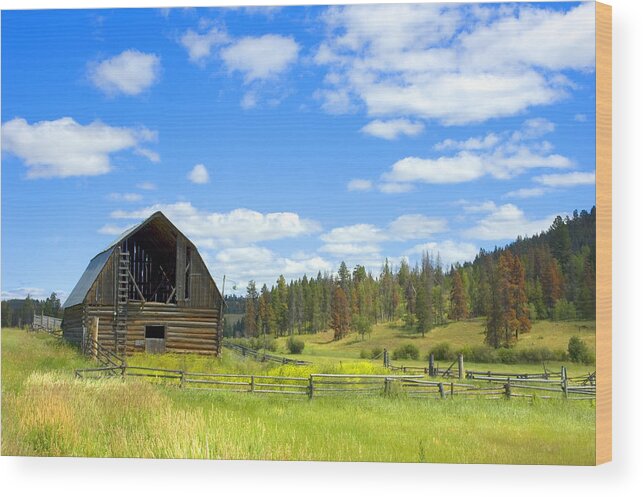 Barn Wood Print featuring the photograph Barn #1 by Michele Wright