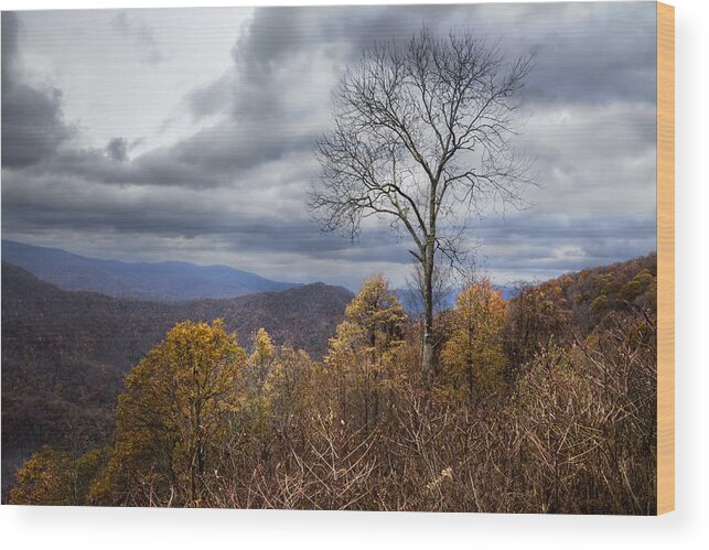 Appalachia Wood Print featuring the photograph Cherohala Skyway #1 by Debra and Dave Vanderlaan