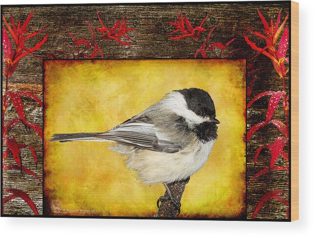 Bird Wood Print featuring the photograph Chickadee #1 by Fred Denner