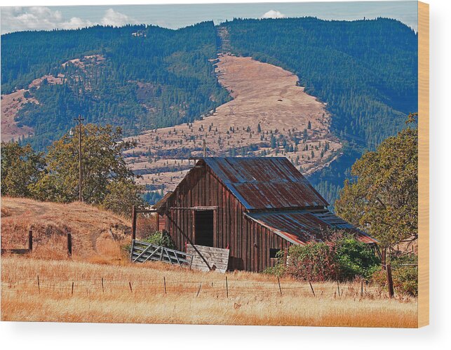 Barn Wood Print featuring the photograph Columbia River Barn #1 by Peter Tellone