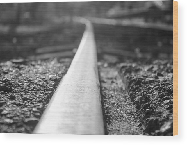 Train Wood Print featuring the photograph Down The Line #1 by Michael Podesta 