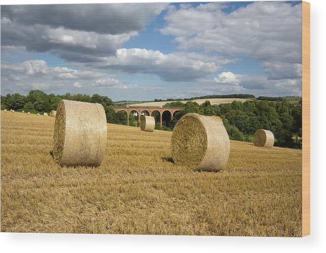 Arch Wood Print featuring the photograph Eynsford In Kent, England #1 by Davidcallan
