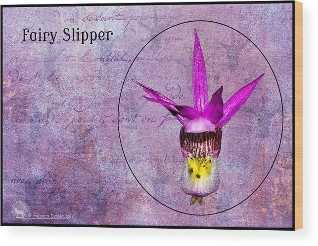 Flower Wood Print featuring the photograph Fairy Slipper by Fred Denner