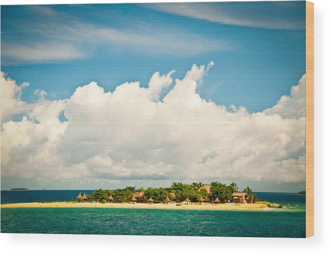 Tropical Tree Wood Print featuring the photograph Fiji #1 by Steve Bly