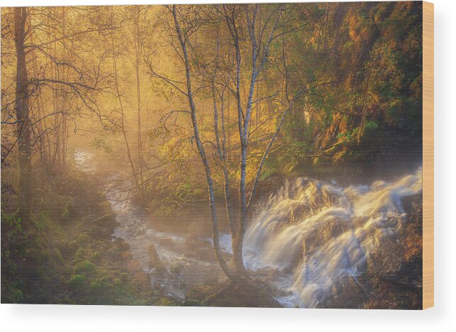 Mist Wood Print featuring the photograph First Light #1 by Rune Askeland