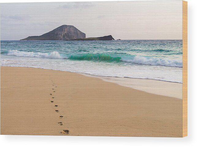 Alone Wood Print featuring the photograph Footprints To The Ocean #1 by Leigh Anne Meeks