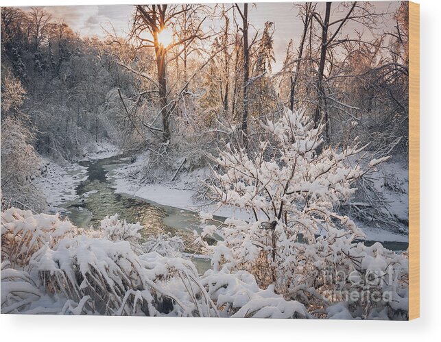 Winter Wood Print featuring the photograph Forest creek after winter storm 4 by Elena Elisseeva