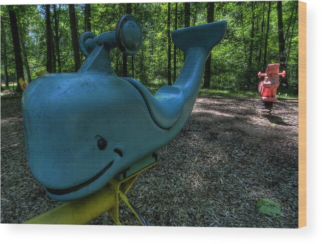 Whale Wood Print featuring the photograph Forgotten Playground #1 by David Dufresne