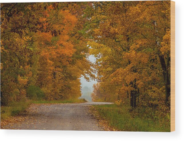 Autumn Wood Print featuring the photograph Golden Dreams #1 by Patti Raine