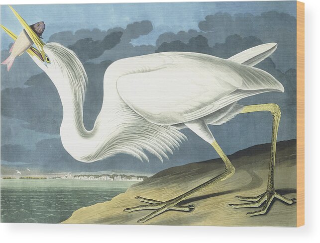 John James Audubon Wood Print featuring the painting Great White Heron by John James Audubon