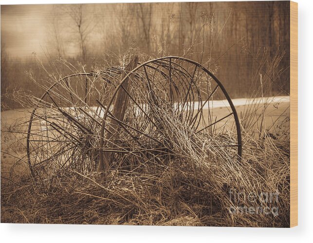 Steel Wood Print featuring the photograph Hay Rake #2 by Alana Ranney