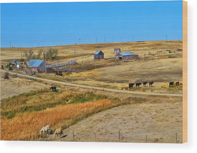 Barns Wood Print featuring the photograph Home On The Range #1 by Kelly Reber