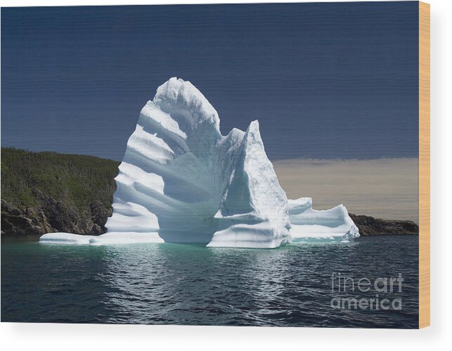 Iceberg Wood Print featuring the photograph Iceberg #1 by Liz Leyden