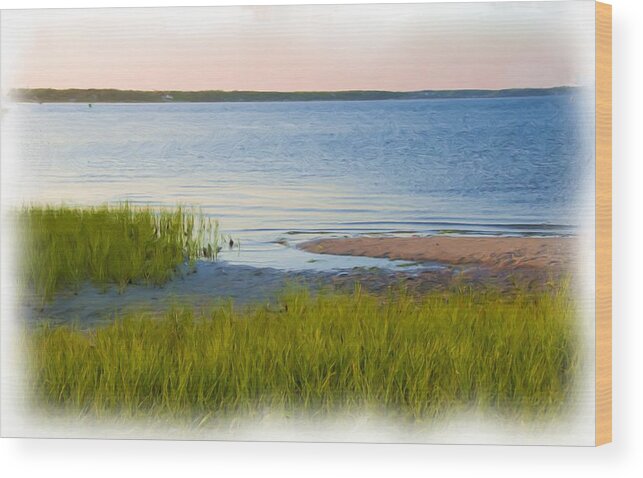 Waterfront Wood Print featuring the photograph Inlet by Cathy Kovarik