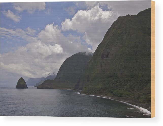 Kalawao Wood Print featuring the photograph Kalawao Lookout #2 by Brian Governale
