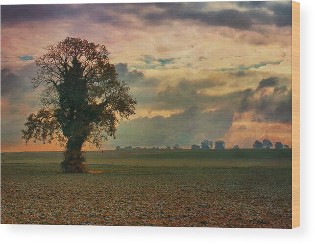 Arbre Wood Print featuring the photograph L'Arbre #2 by Jean-Pierre Ducondi