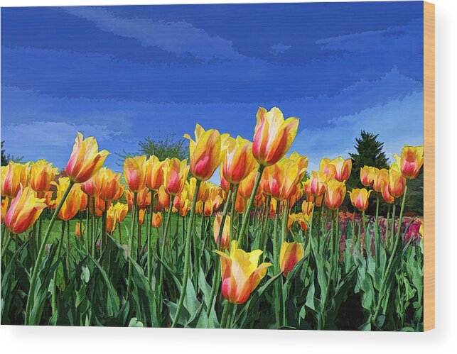 Tulip Wood Print featuring the photograph Line of Beauty by Allen Beatty