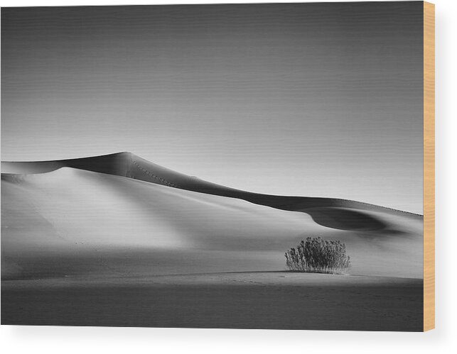 Landscape Wood Print featuring the photograph Loneliness #1 by Dominique Dubied