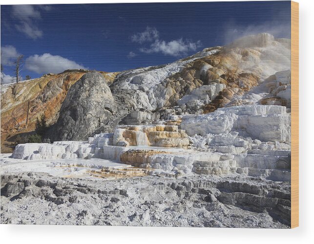 530463 Wood Print featuring the photograph Mammoth Hot Springs Yellowstone Wyoming #1 by Duncan Usher