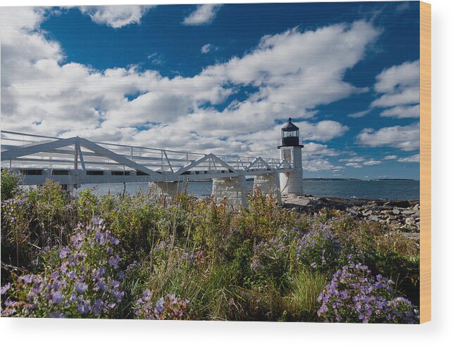 Lighthouse Wood Print featuring the photograph Marshall Point Lighthouse #2 by David Smith