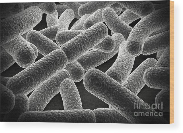 Horizontal Wood Print featuring the digital art Microscopic View Of Bacilli Bacteria #1 by Stocktrek Images