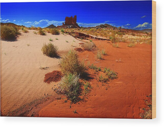 Landscape Wood Print featuring the photograph Monument Valley Utah USA #15 by Richard Wiggins