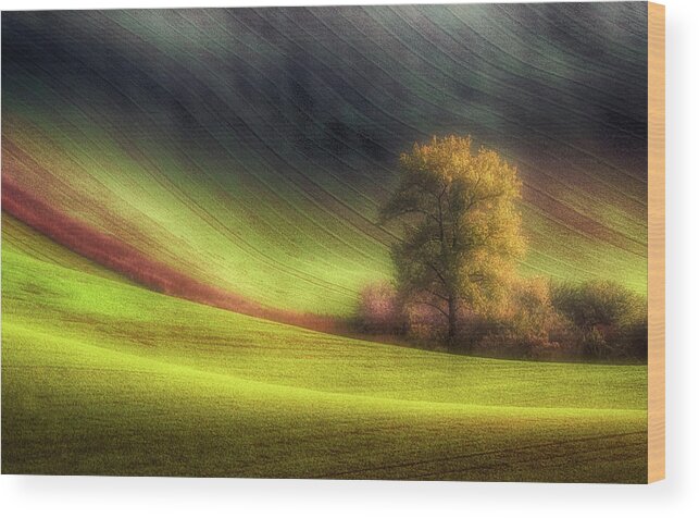 Moravia Wood Print featuring the photograph Moravian Fields #1 by Piotr Krol (bax)