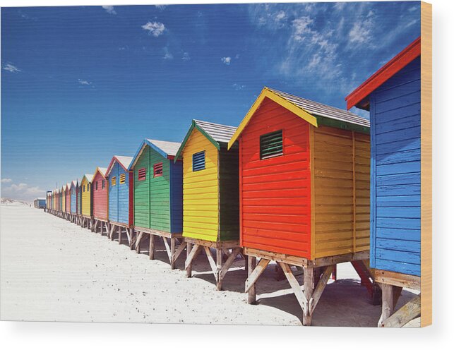 Beach Hut Wood Print featuring the photograph Muizenberg Beach Cape Town by Ferrantraite