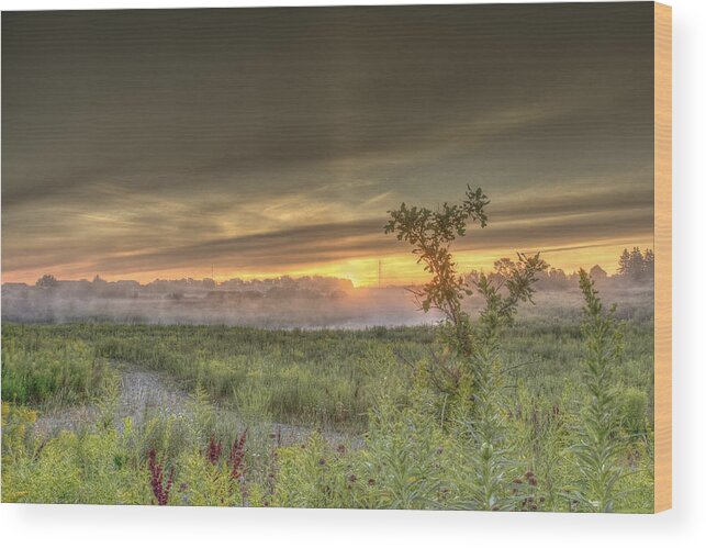 Back Roads Wood Print featuring the photograph Nature in the morning #1 by Nick Mares