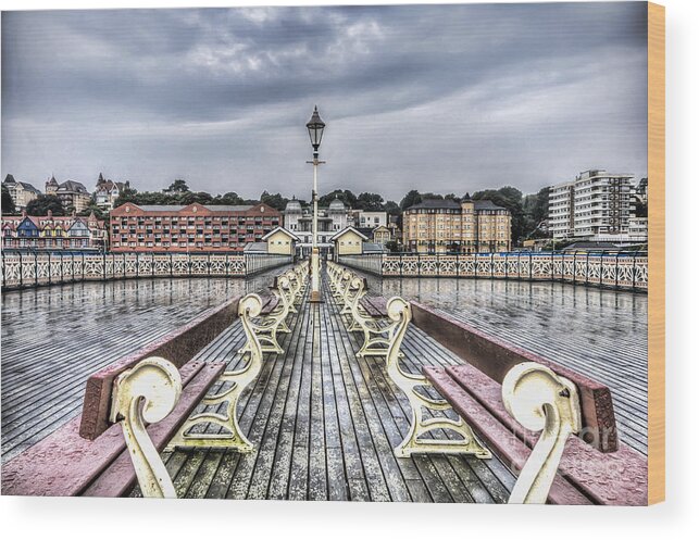 Penarth Pier Wood Print featuring the photograph Penarth Pier 5 #1 by Steve Purnell