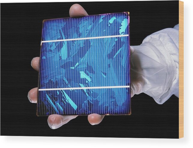 Human Wood Print featuring the photograph Photovoltaic Cell Manufacturing by Patrick Landmann/science Photo Library