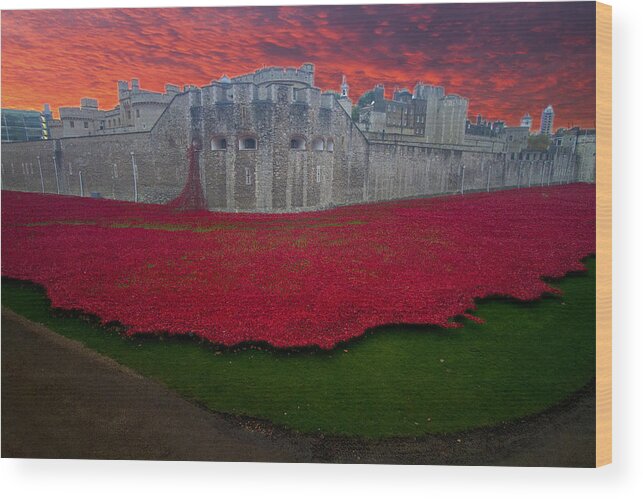 Tower Wood Print featuring the photograph Poppies Tower of London #1 by David French